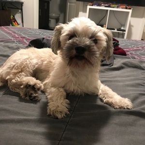 Meet your Posher, Jordan